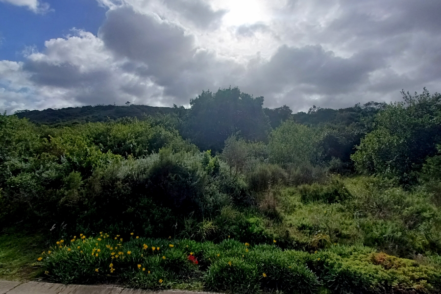 0 Bedroom Property for Sale in Dolphin Creek Golf Estate Western Cape